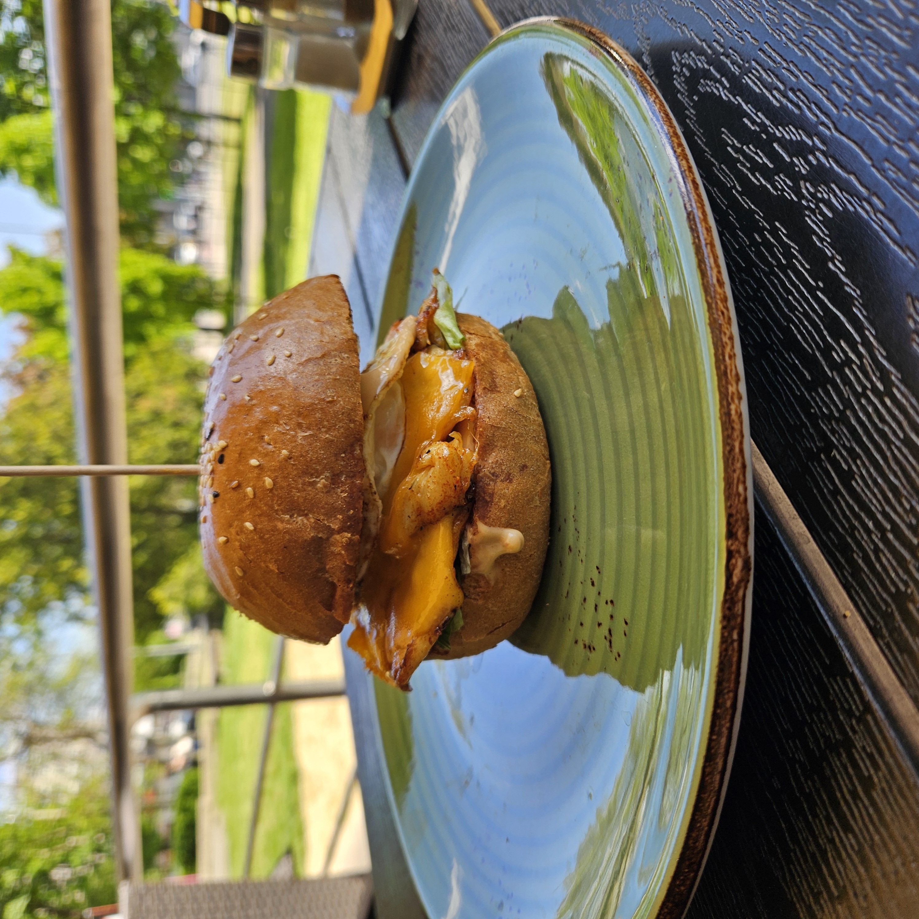 Protein Burger